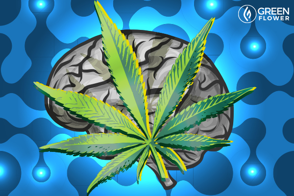 Cannabis for Brain Cancer: New Science Shows Serious&nbsp;Potential