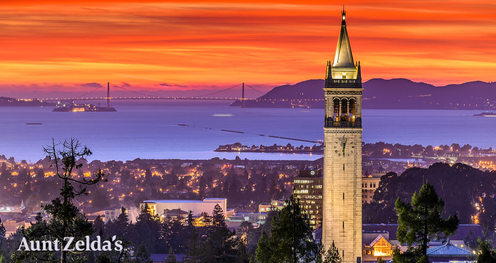 Love Trumps Hate in Berkeley on Election&nbsp;Night